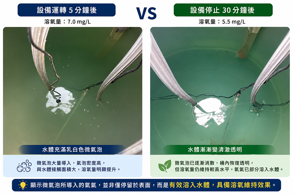 AM248B使用前後比較 AM248B使用前後比較